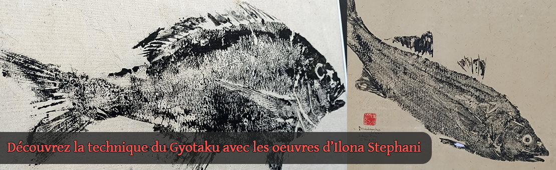 Bannière Ilona Stephani 